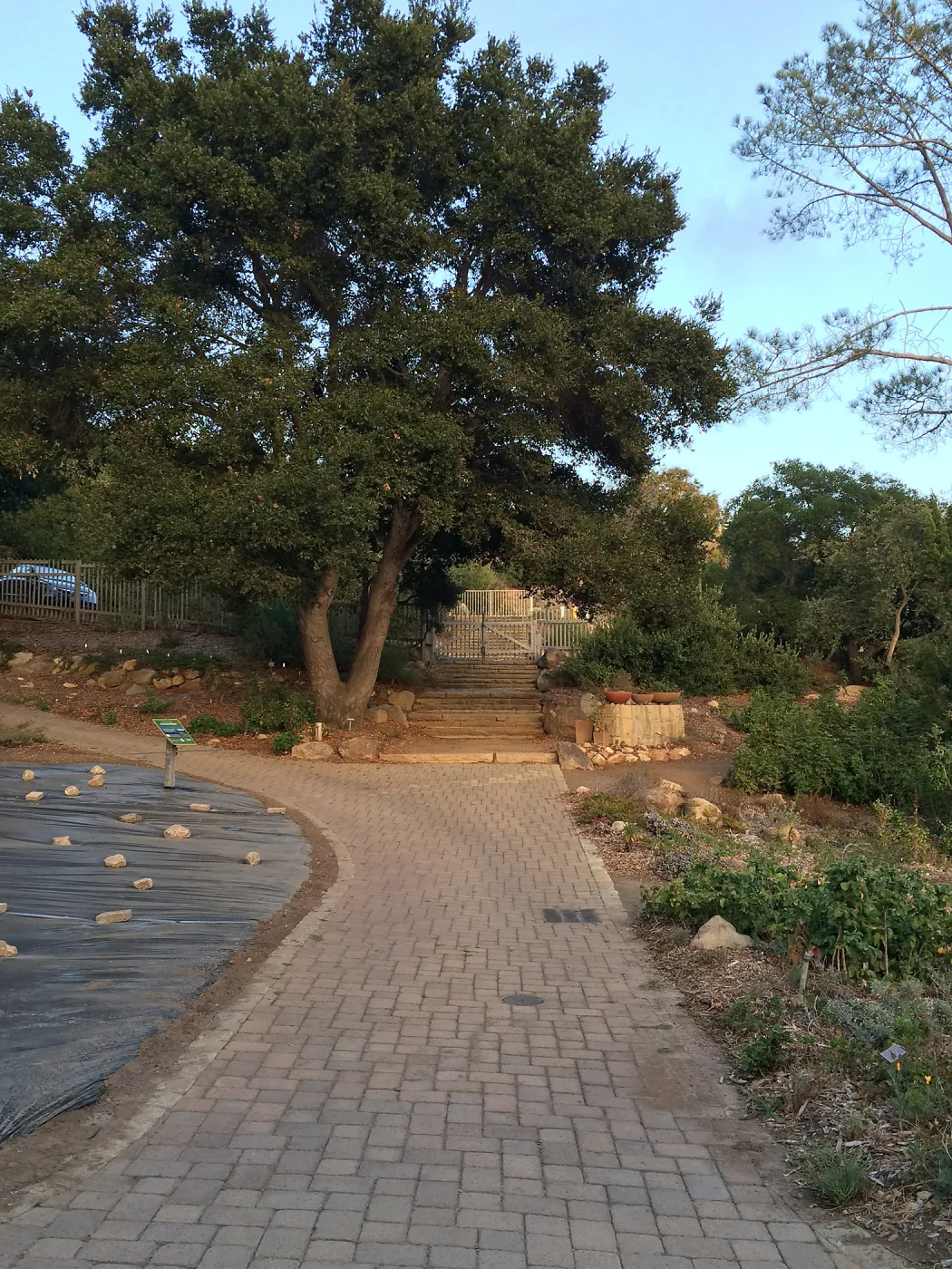 Path along lower meadow edge towards original entrance gate