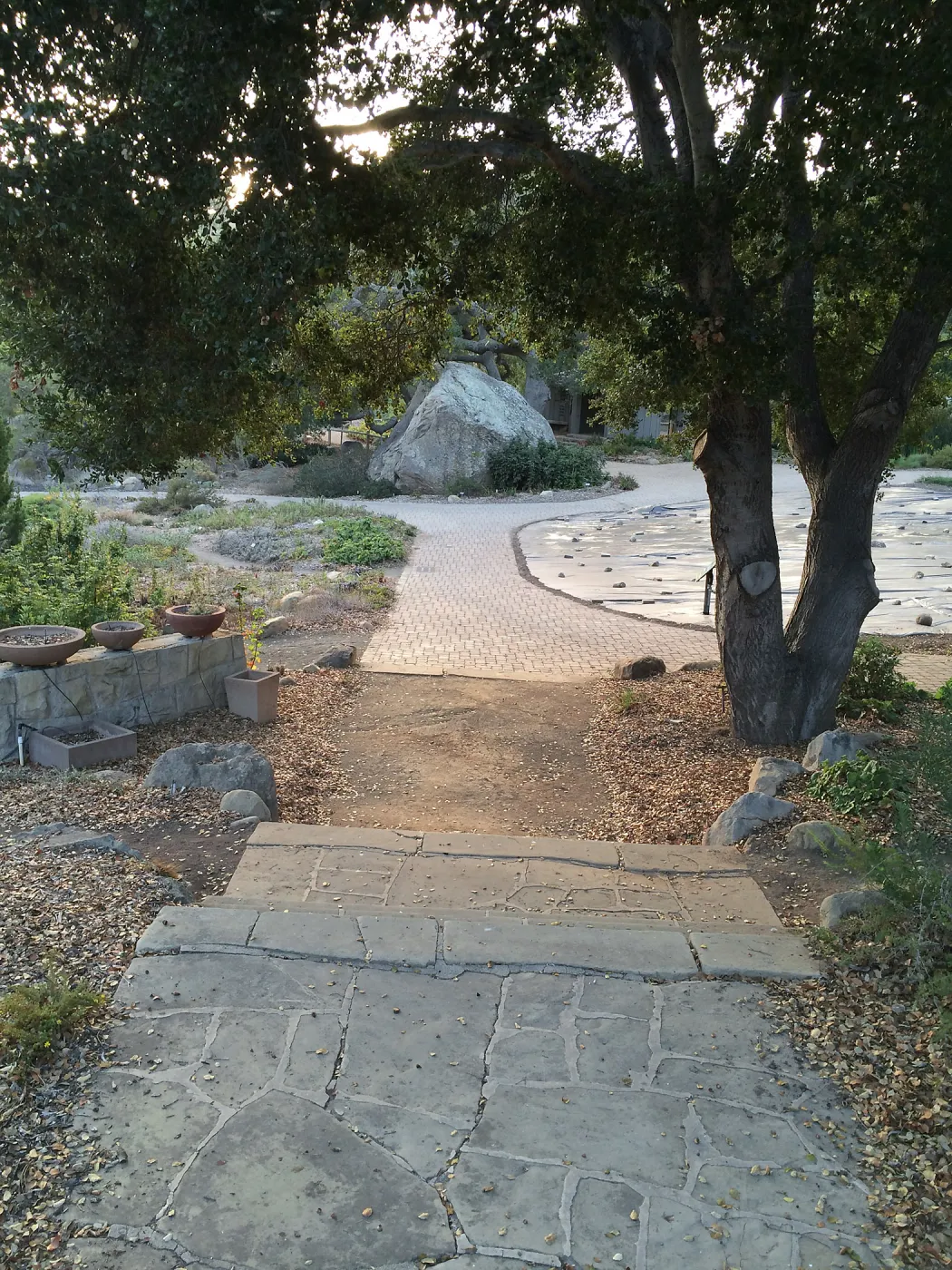 Looking back towards Lowert Meadow from original entrance gate steps