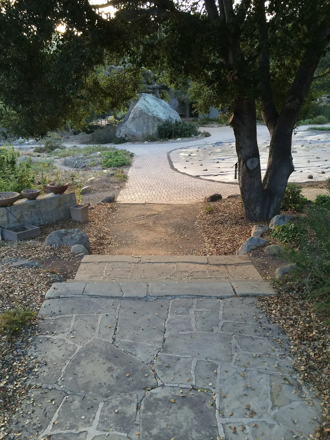 Looking back towards Lowert Meadow from original entrance gate steps