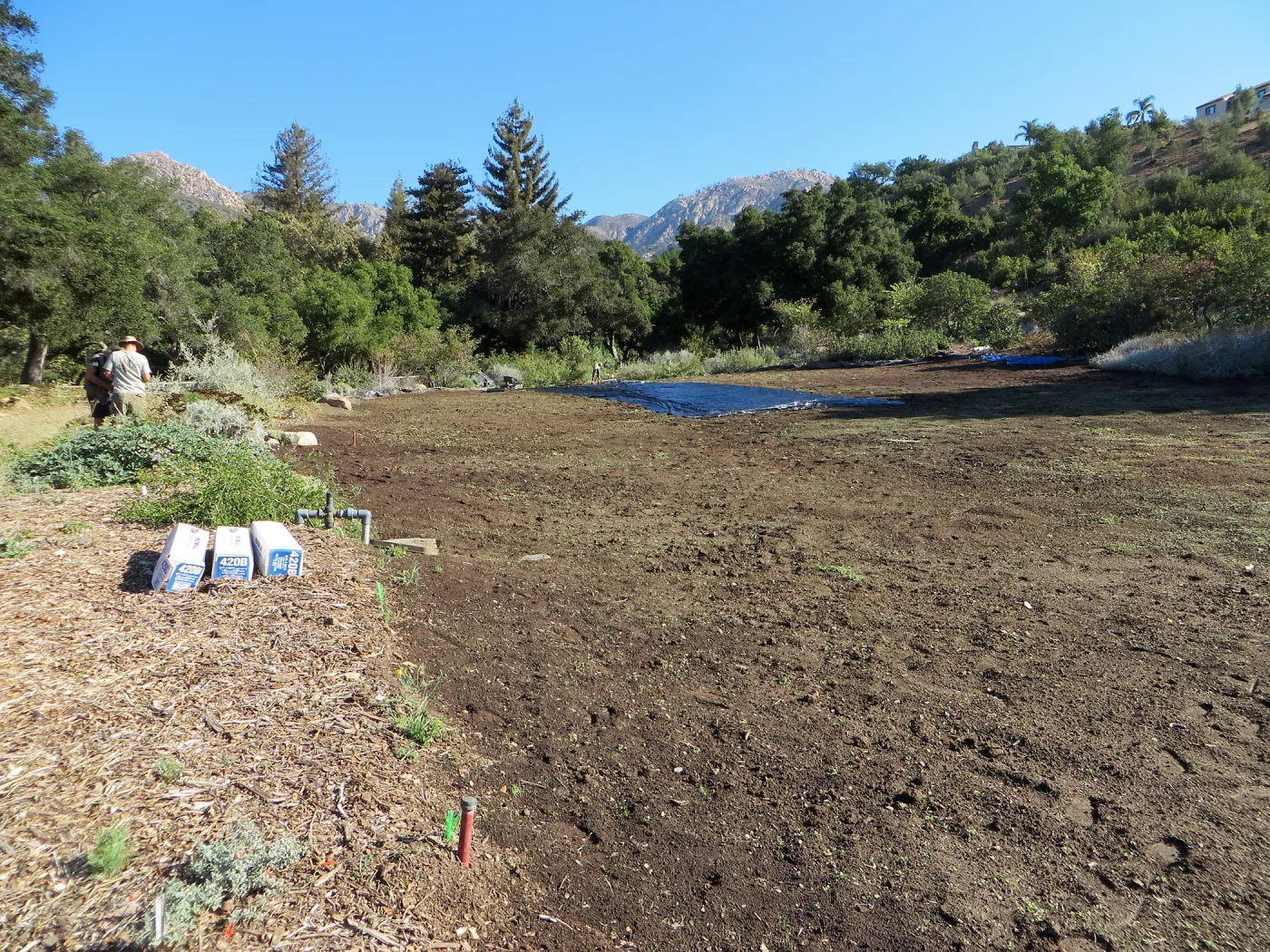 Solarization of the Meadow