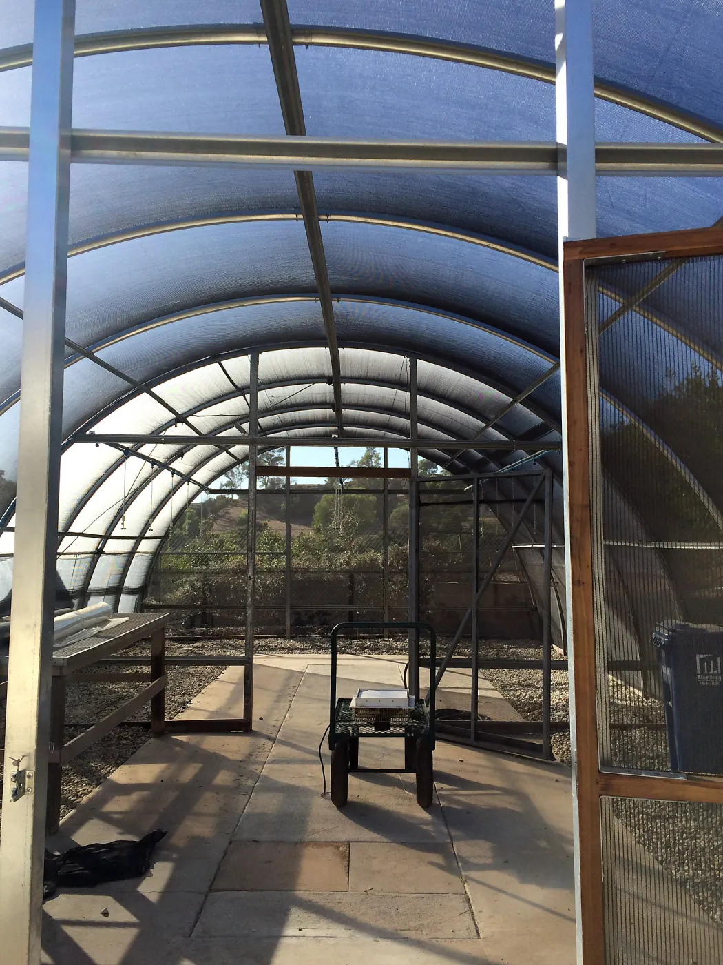 Hoop house at Hort Unit