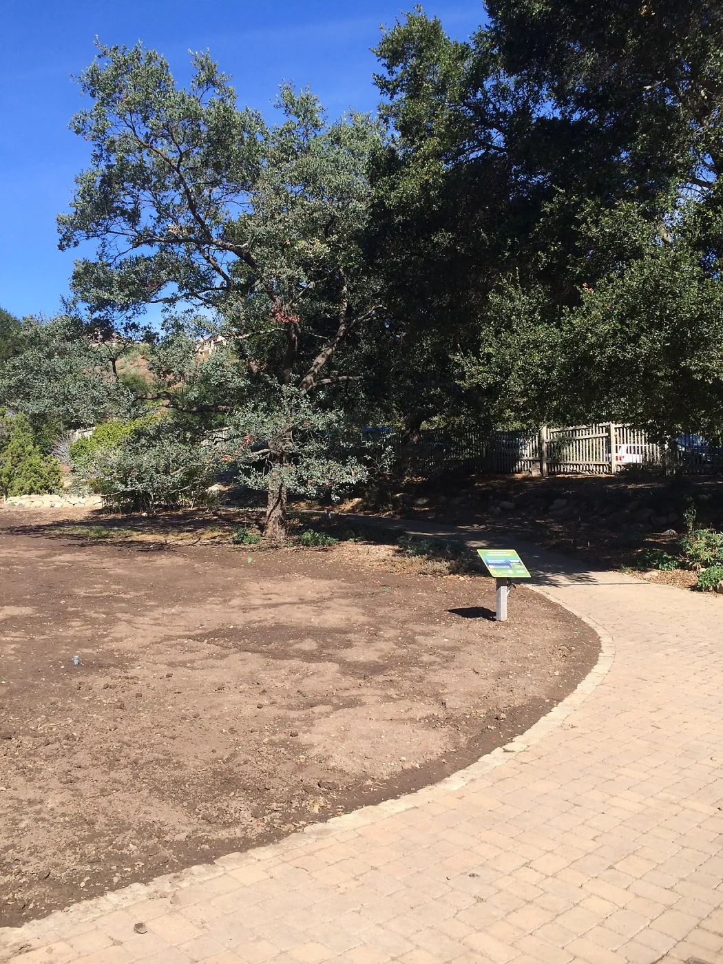 Meadow after solarization