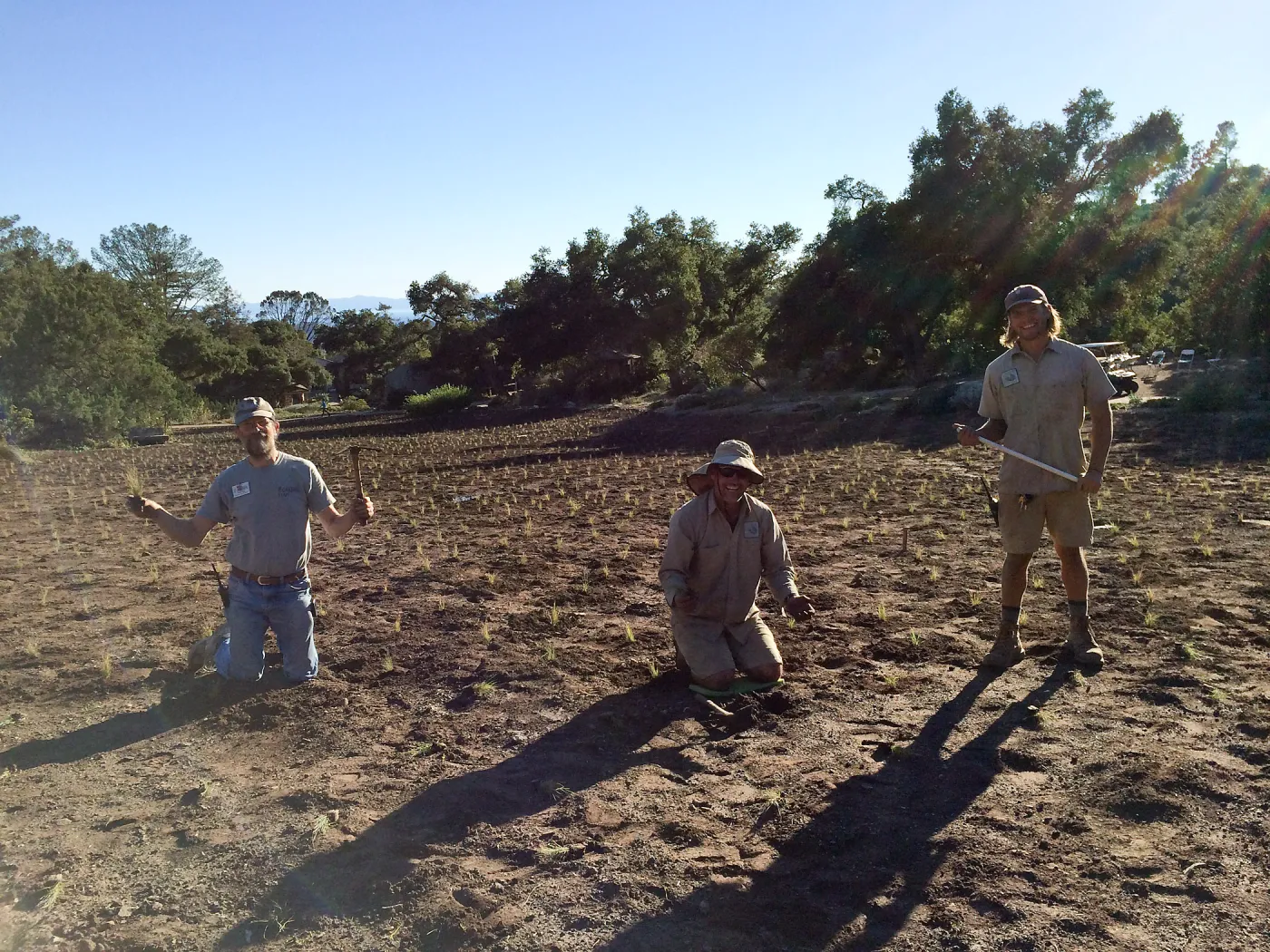 Planting Bouteloua gracilis in the Meadow after solarization. Randy Wright, Tony Lee, Riley Kriebel