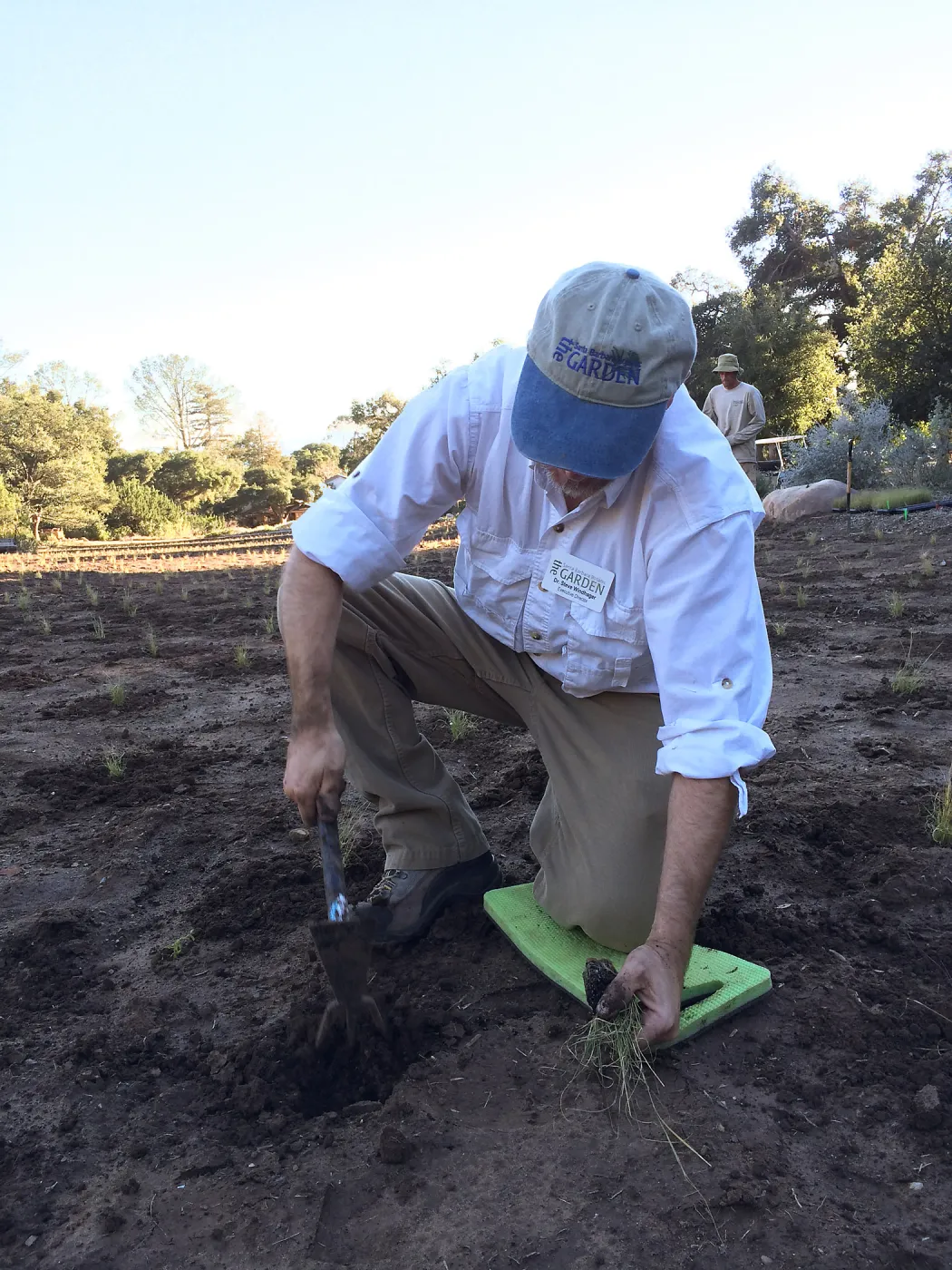 Planting Bouteloua gracilis in the Meadow after solarization, Steve Windhager