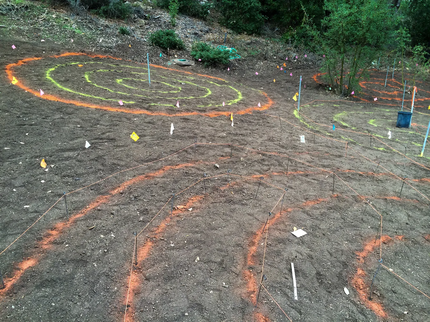 Maze pattern laid out