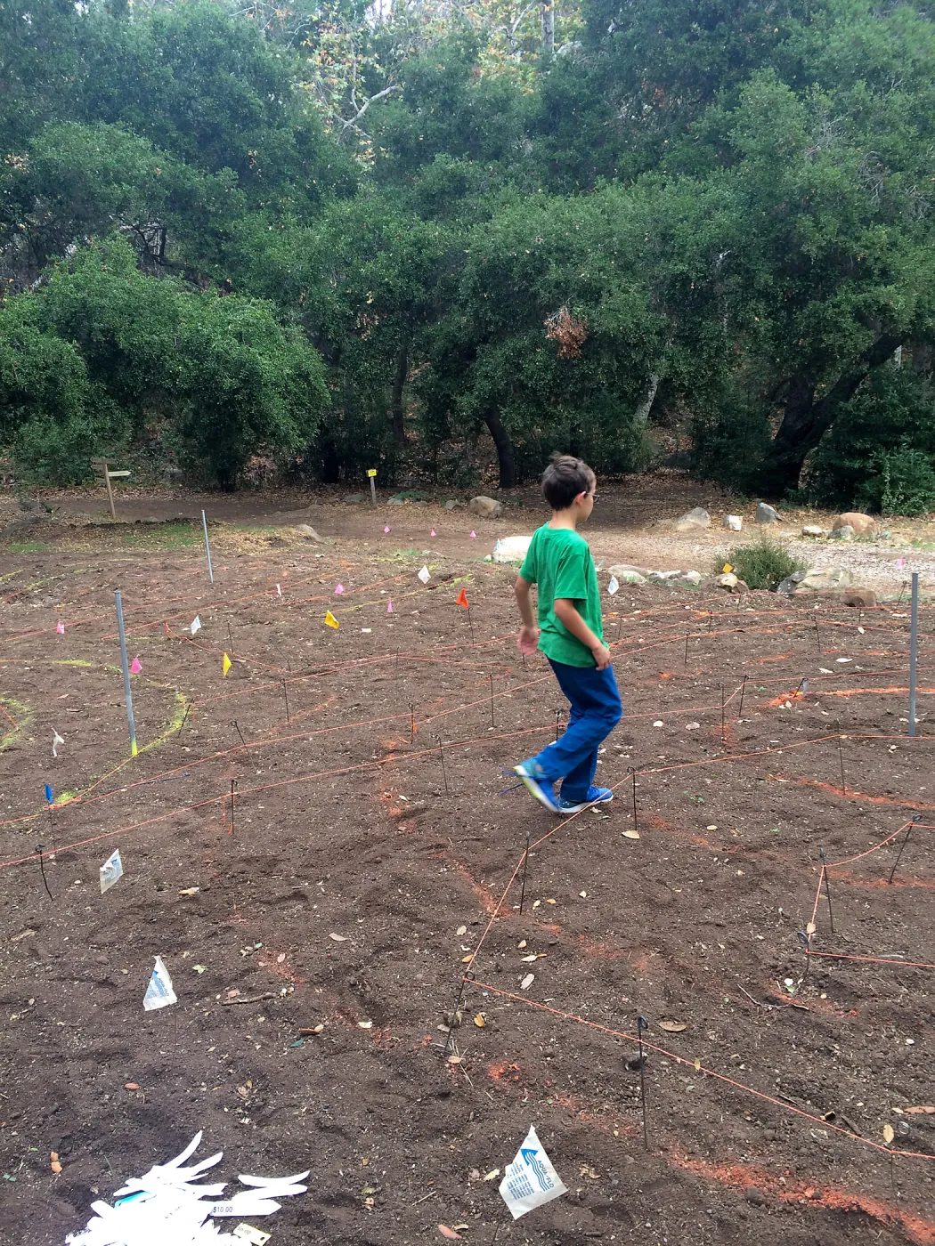 Maze pattern laid out