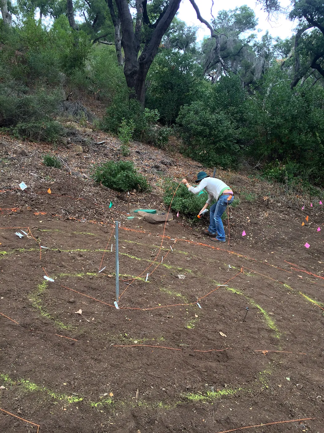 Betsy Lape working on the Maze