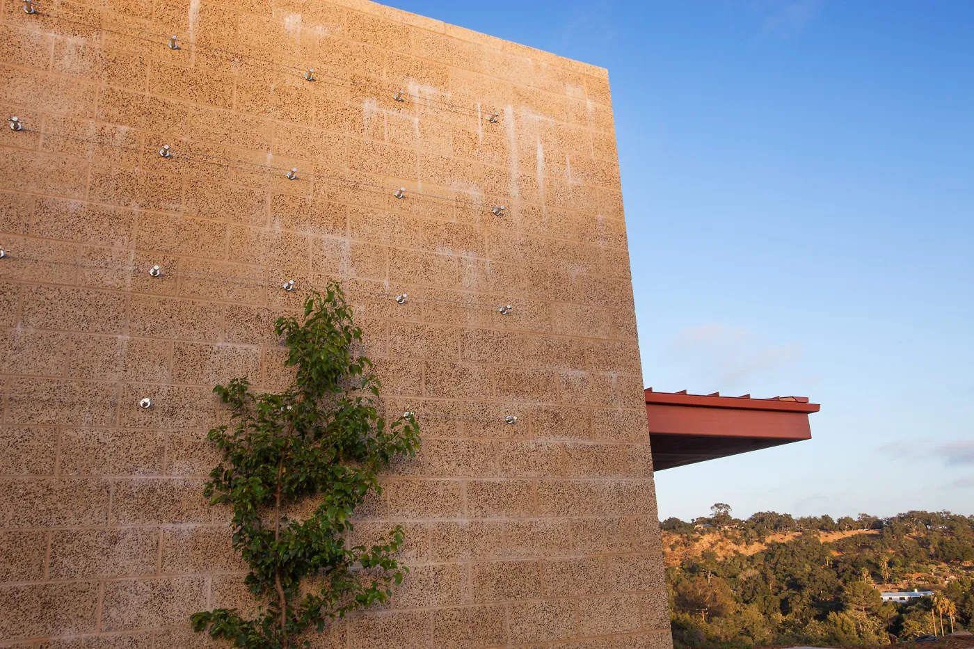 Pritzlaff Conservation Center exterior, Prunus espalier