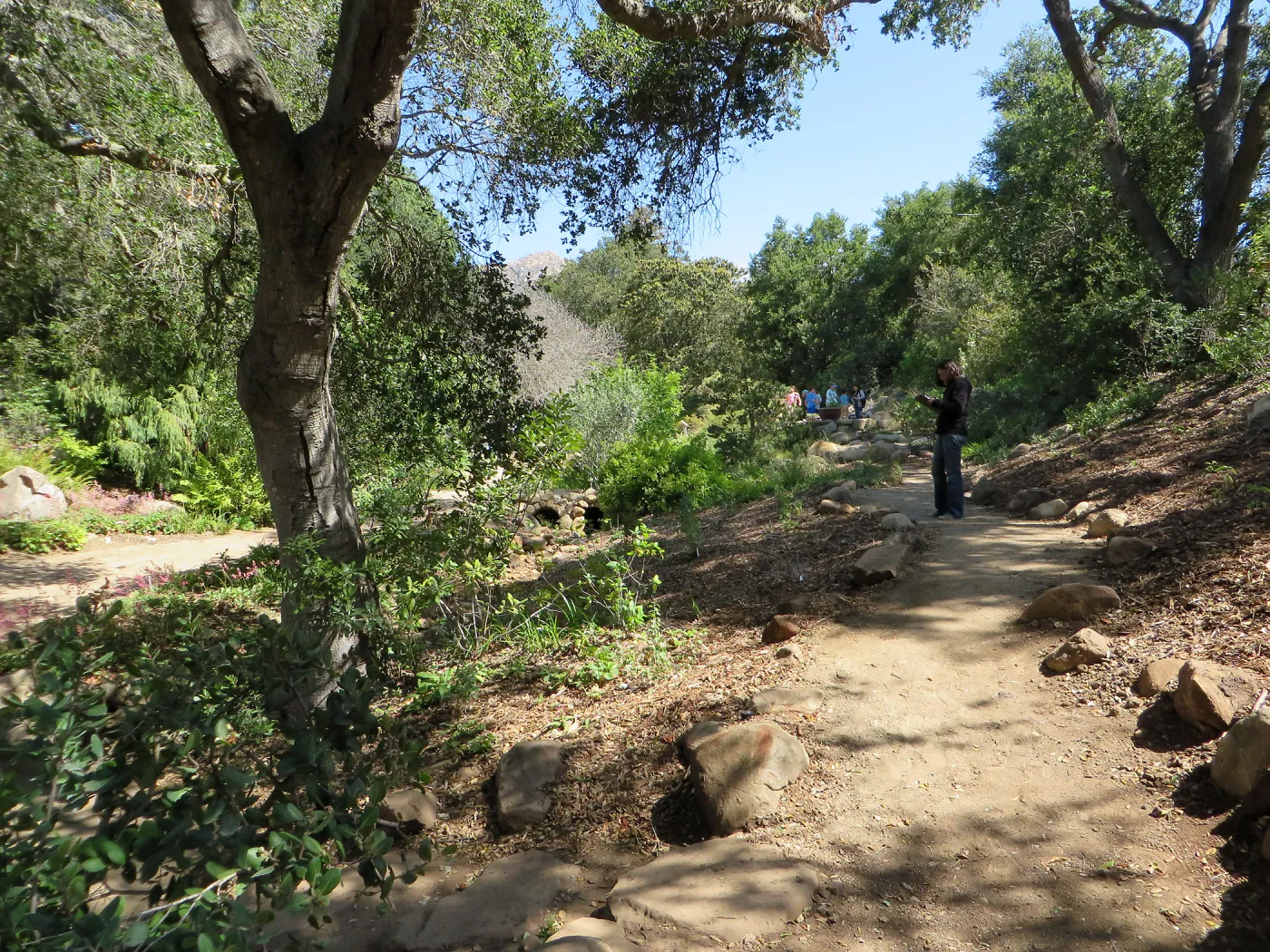 Above Tea House, Lower Arroyo, new trail