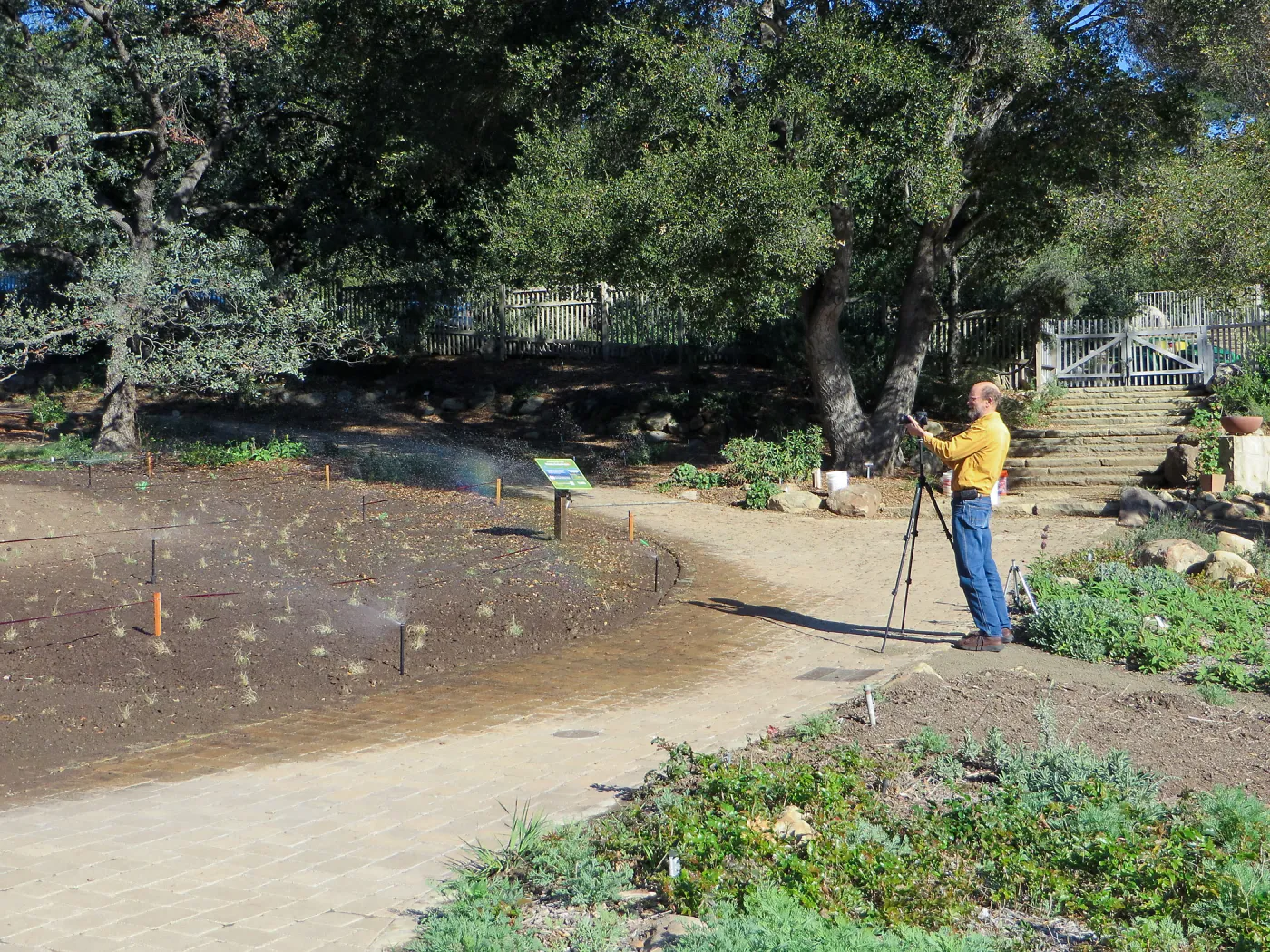 Randy photographing the new meadow planting