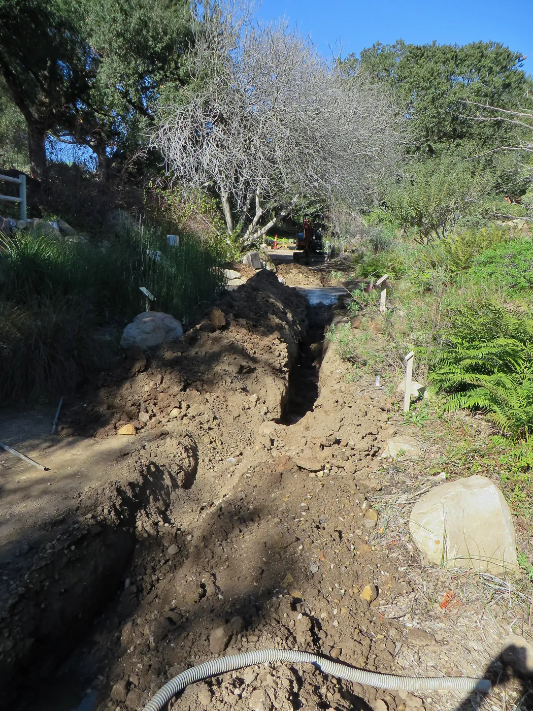 Sewer in the Arroyo