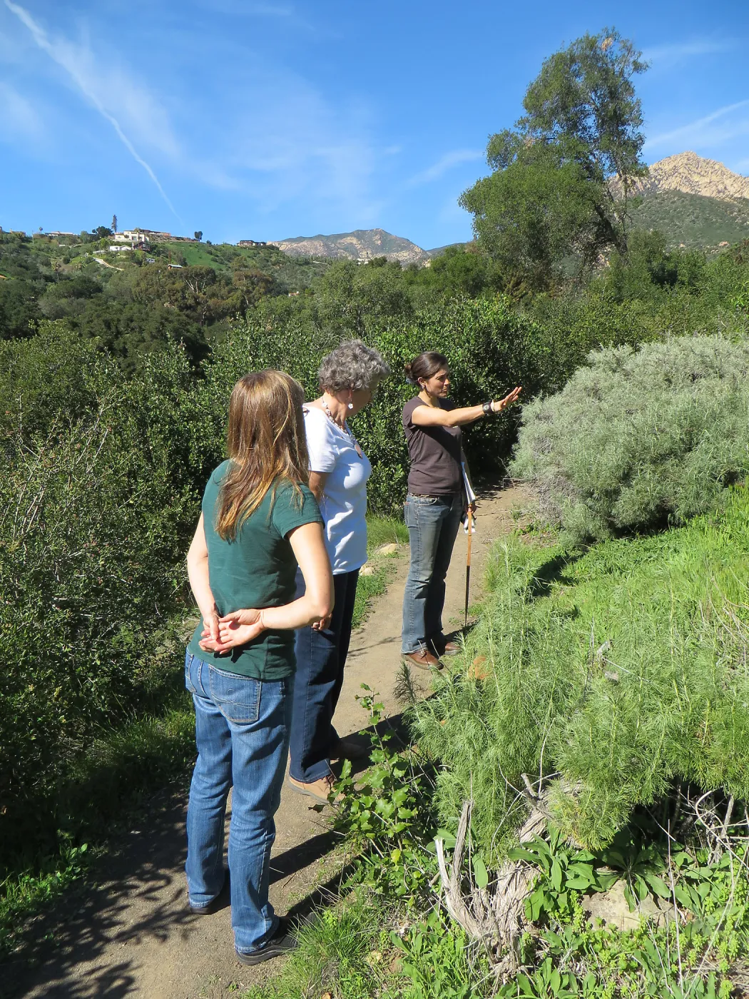Anne McInerney, Ingrid Kaper, Betsy Lape, Porter Trail