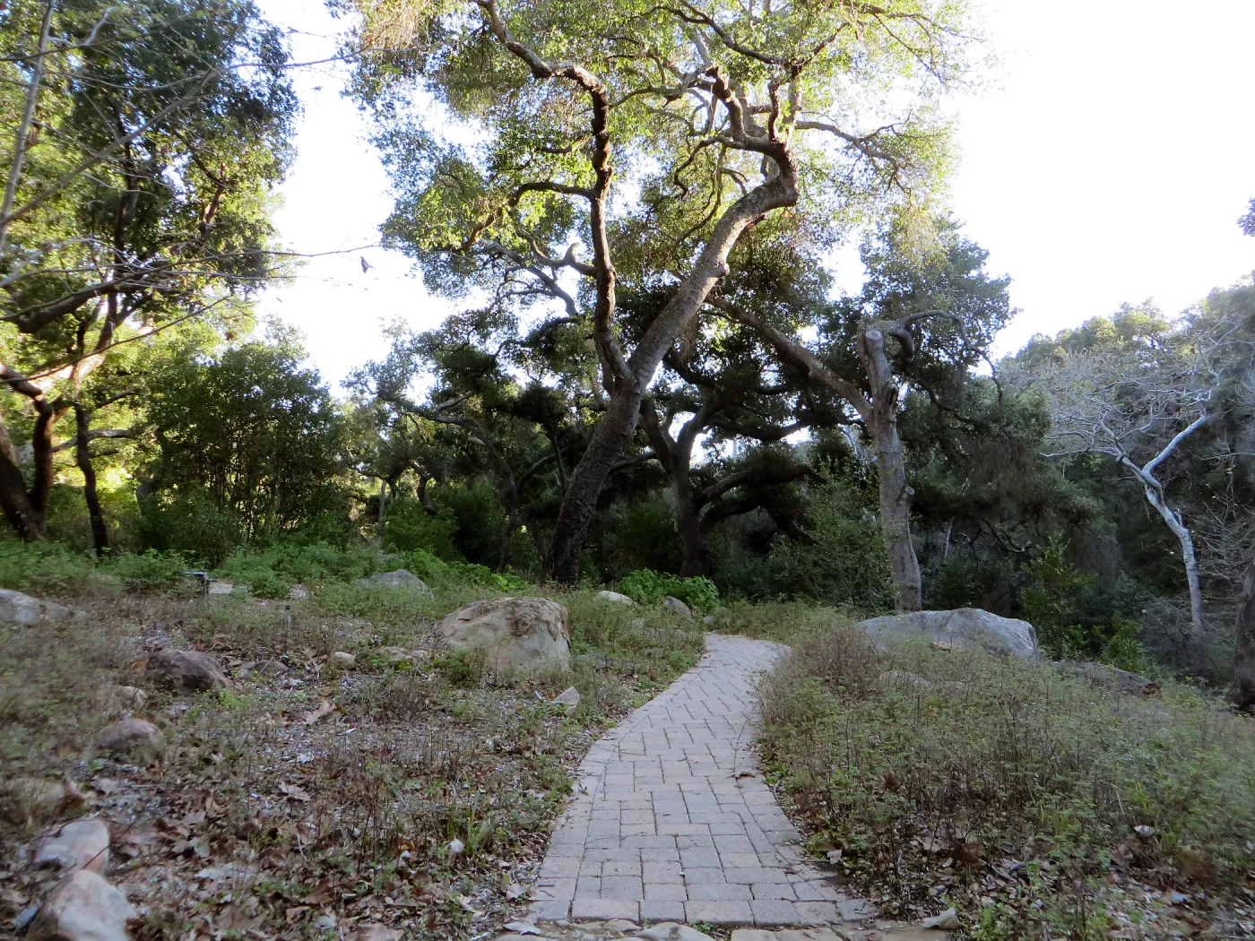 Campbell Bench site