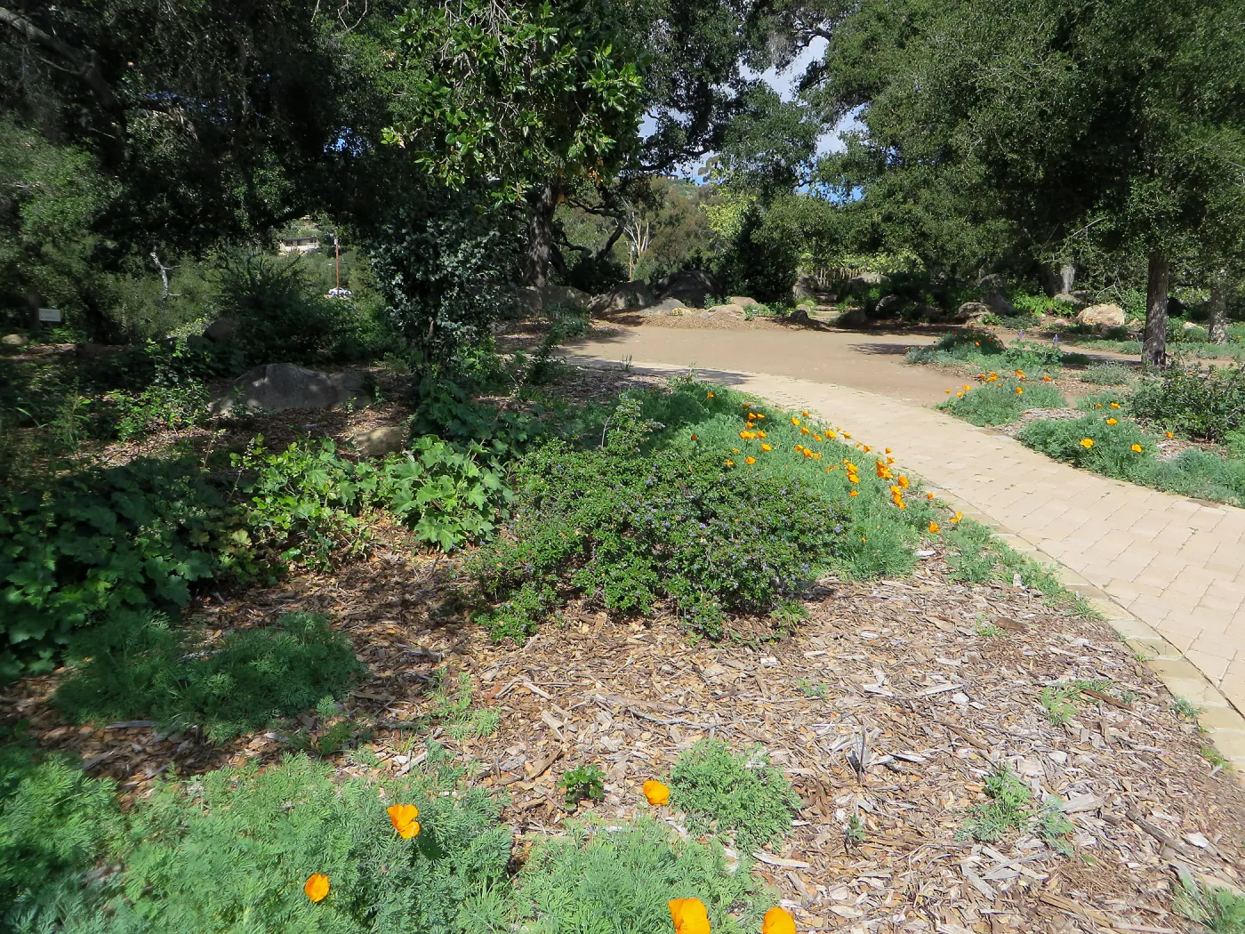 Bench site in Meadow