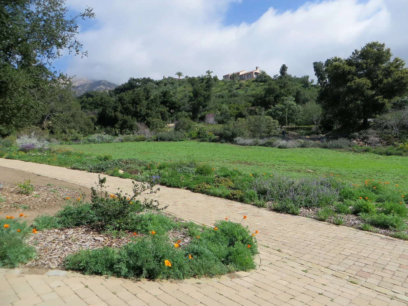 Bench site in Meadow