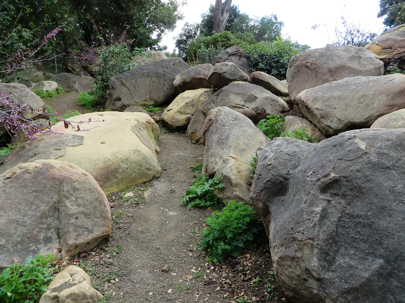 Boulders in Manzanita Section
