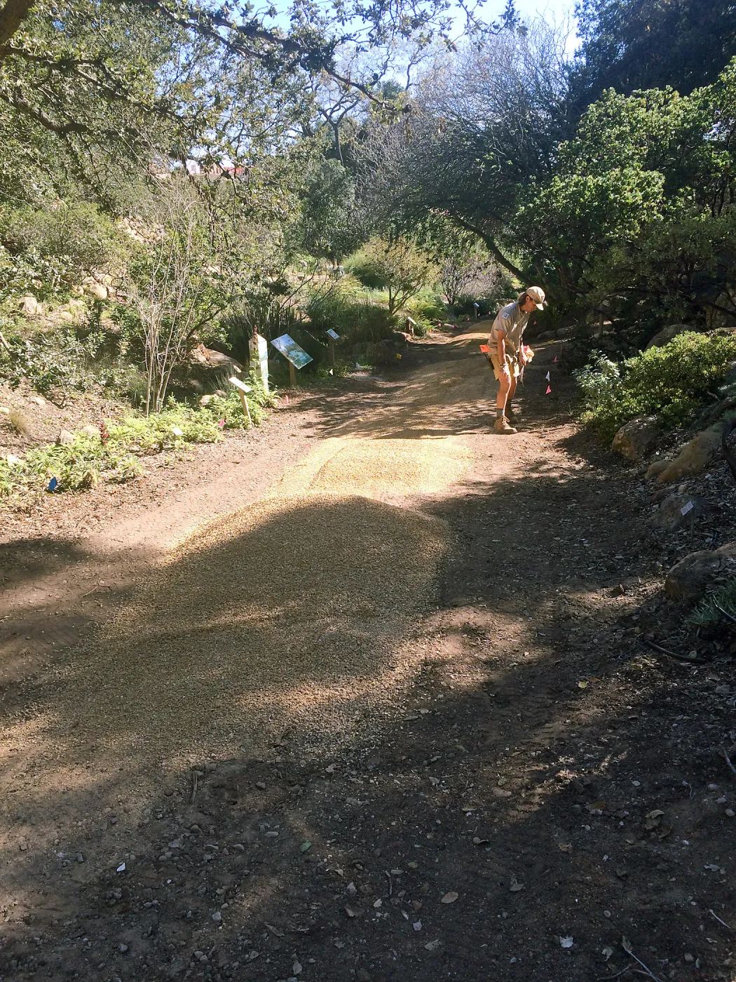 Spreading California gold gravel in Arroyo