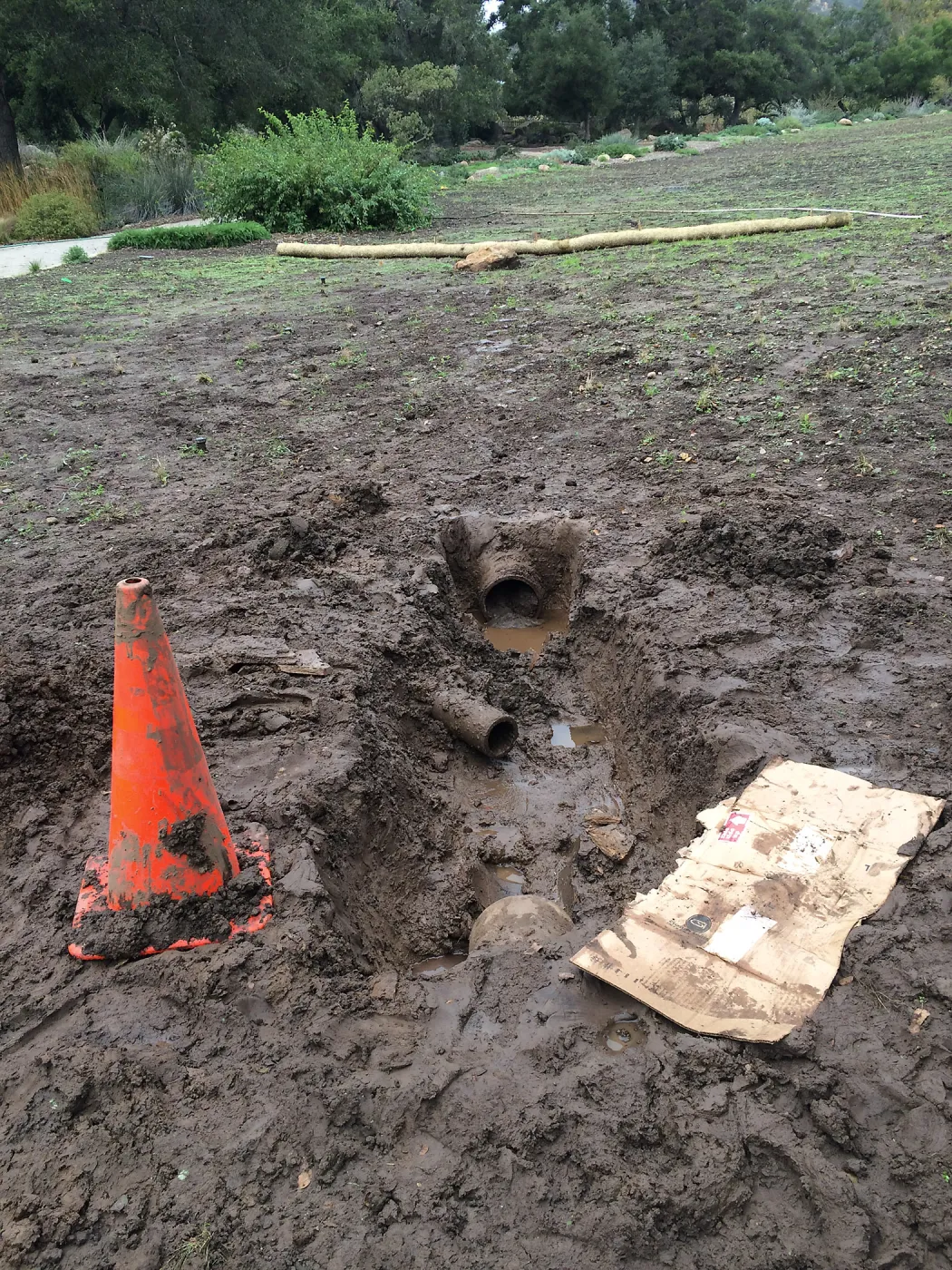 Clogged drain flooding in lower meadow