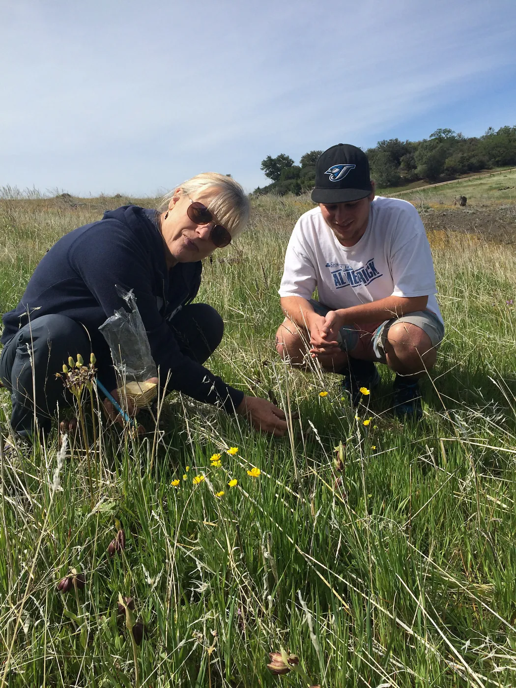 Figeuroa Mtn, wildflower hunters at Fritillaria site