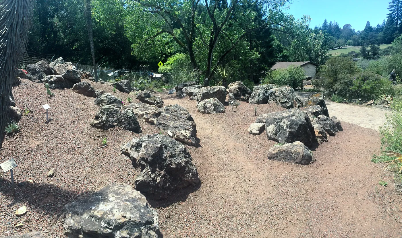 Unplanted bed at Tilden Regional Parks Botanic Garden