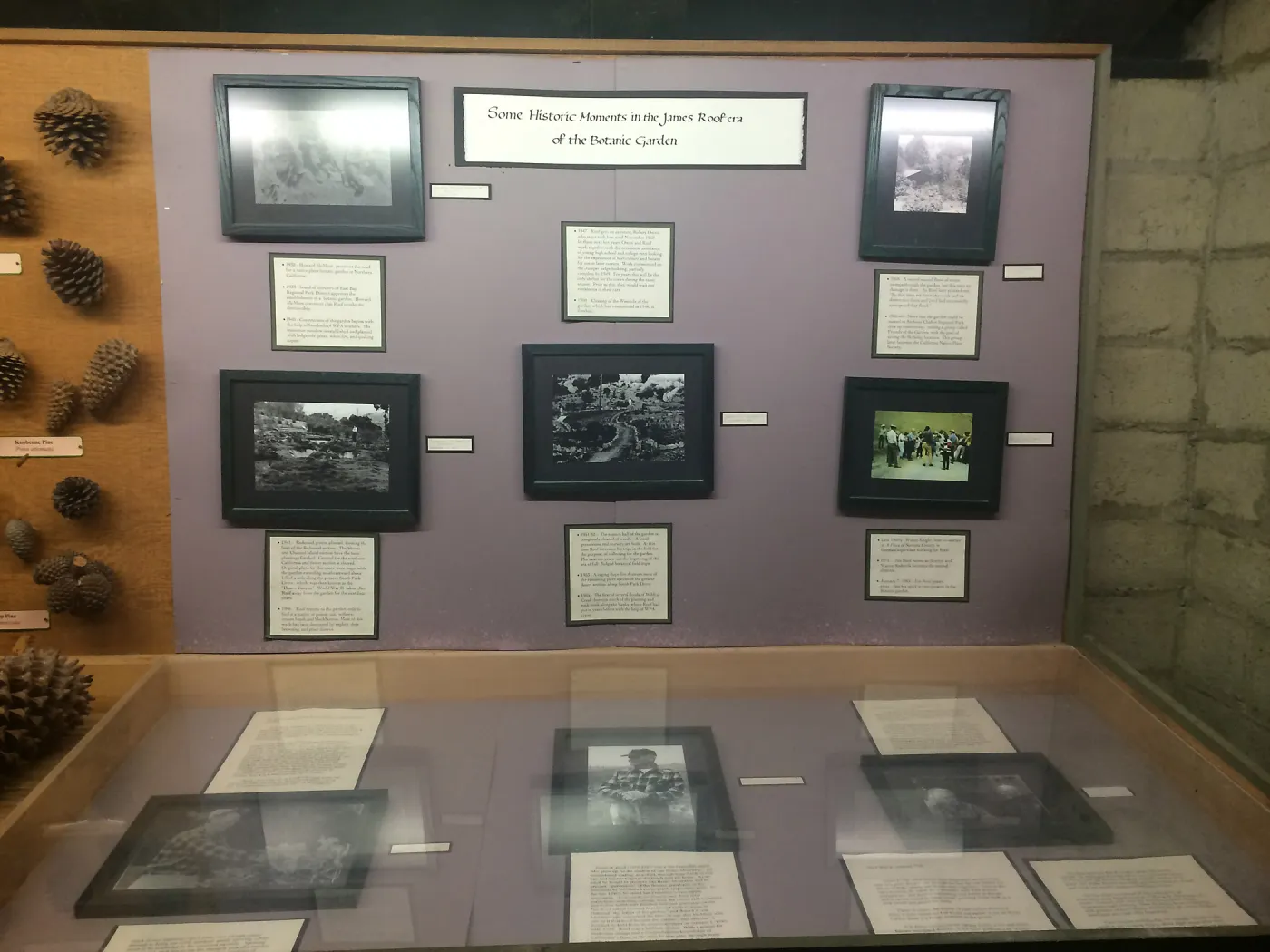 Exhibits at Tilden Regional Parks Botanic Garden