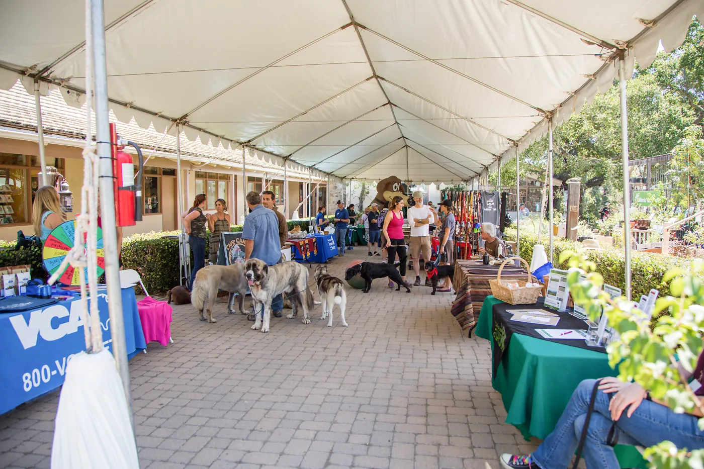 Trails â€˜n' Tails 2016, vendor tables in Courtyard
