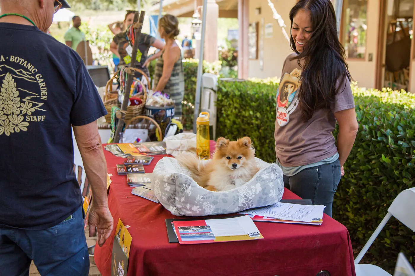 Trails â€˜n' Tails 2016