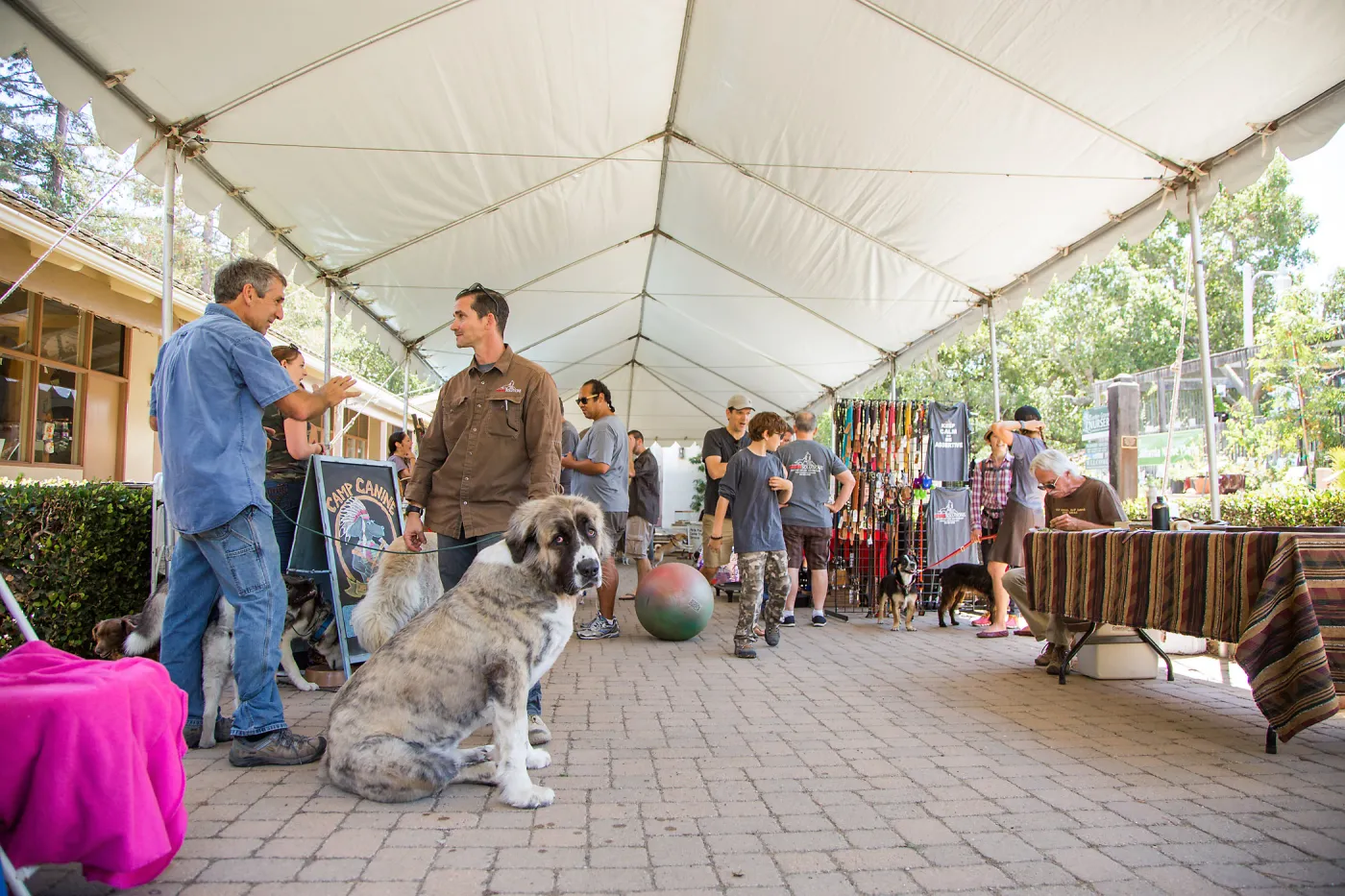 Trails â€˜n' Tails 2016, Courtyard