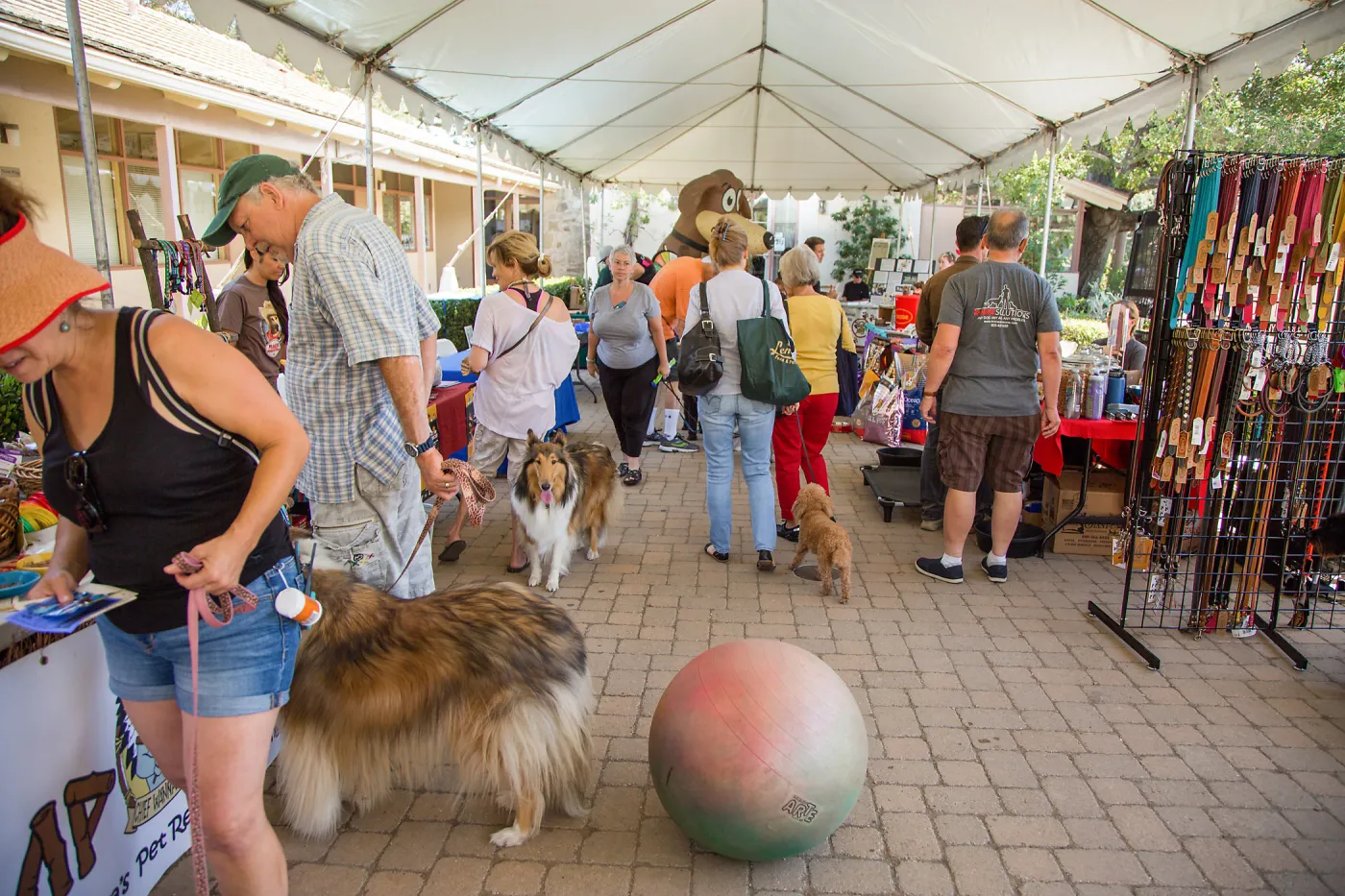 Trails â€˜n' Tails 2016, Courtyard