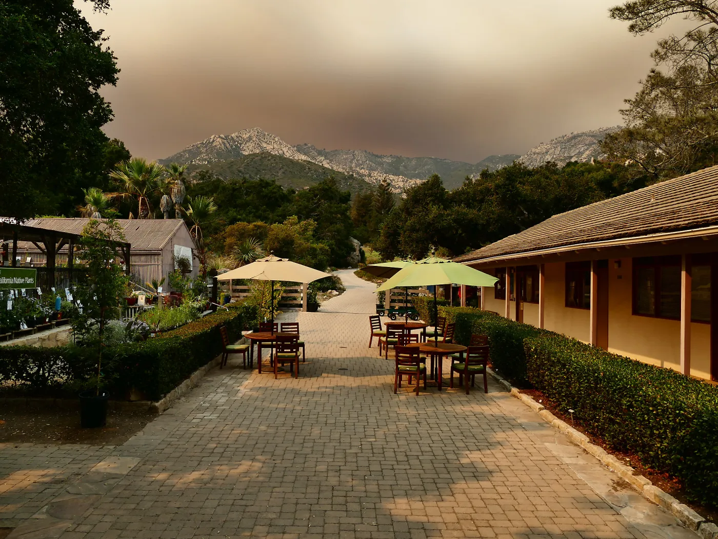 Courtyard in smoke-filtered light from Rey Fire