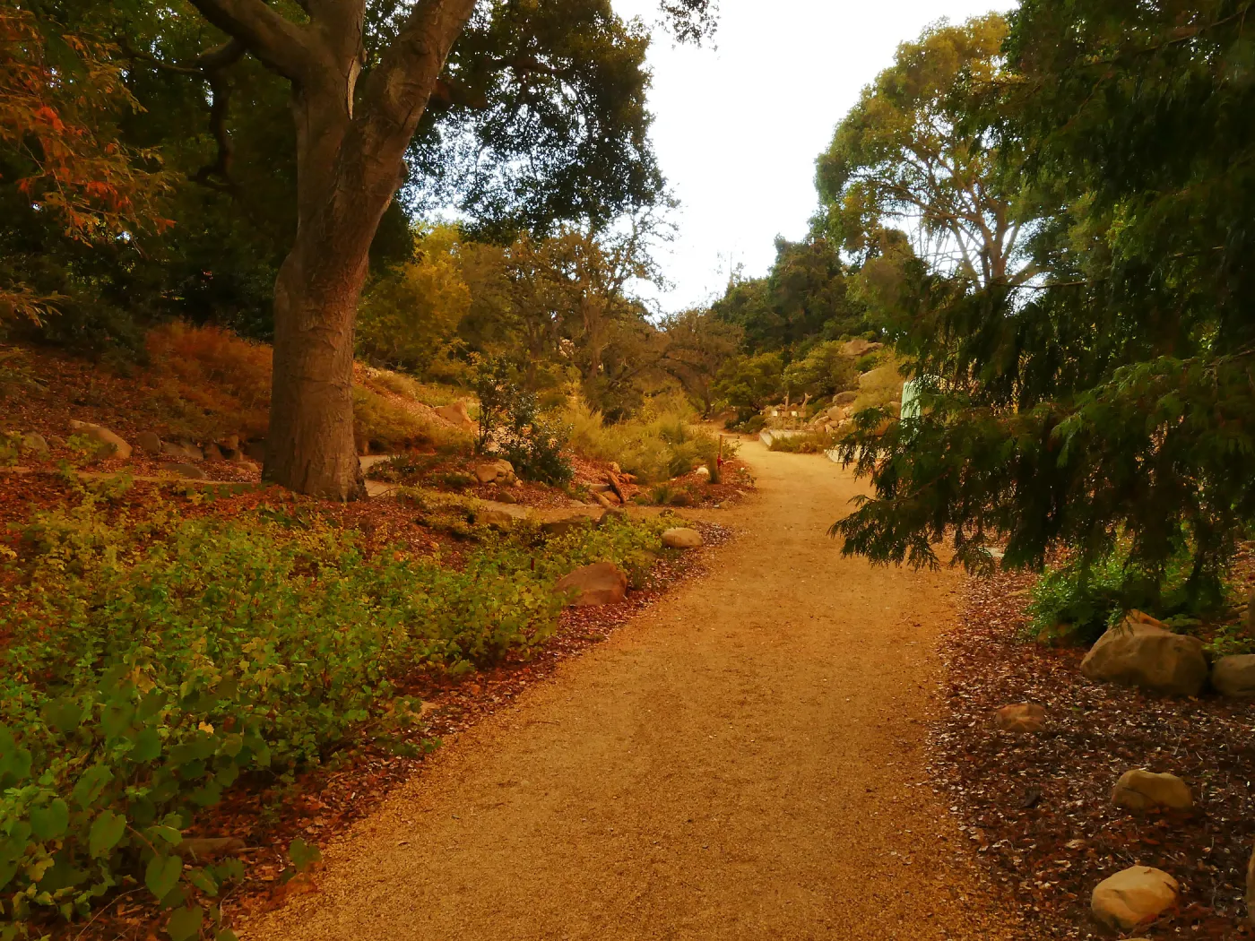 Arroyo Section in smoke-filtered light from Rey Fire