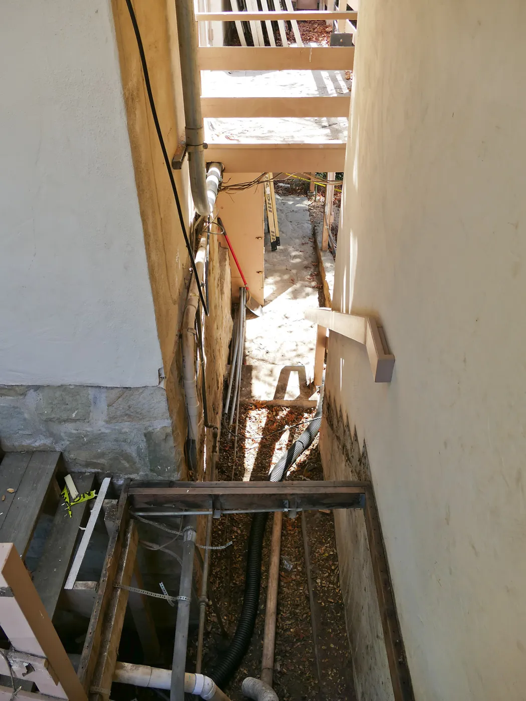 Herbarium steps removed for fumigation