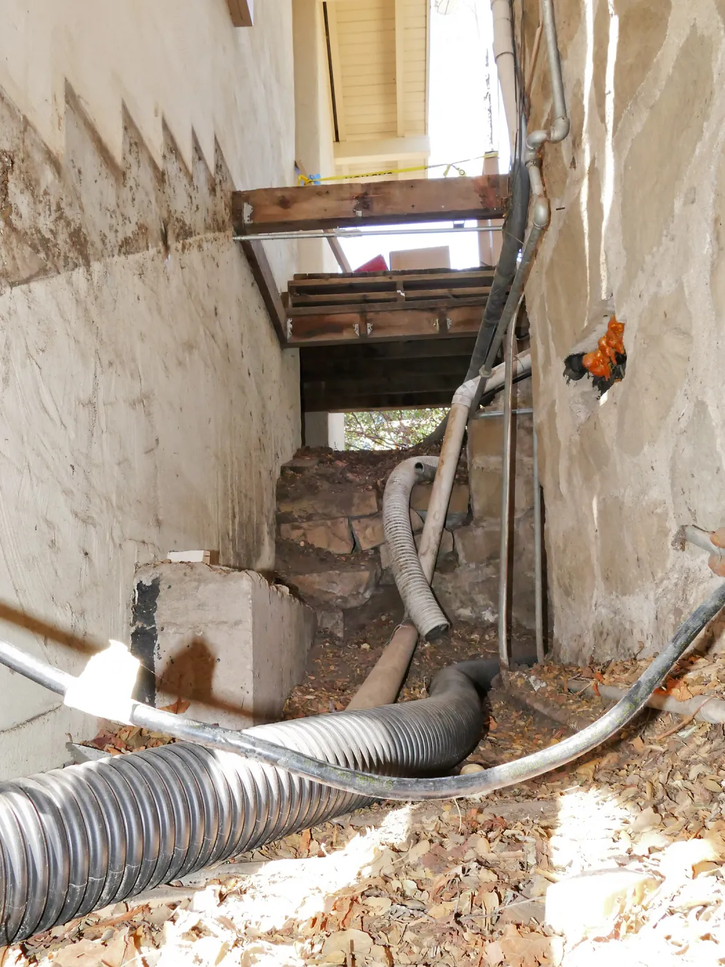 Herbarium steps removed for fumigation