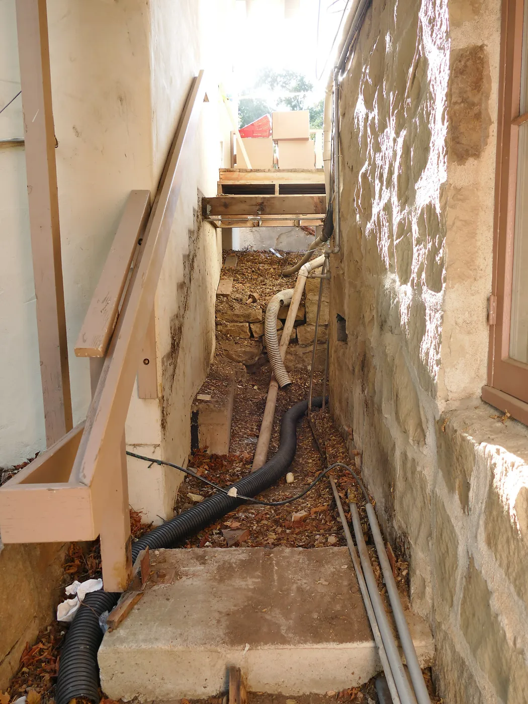 Herbarium steps removed for fumigation