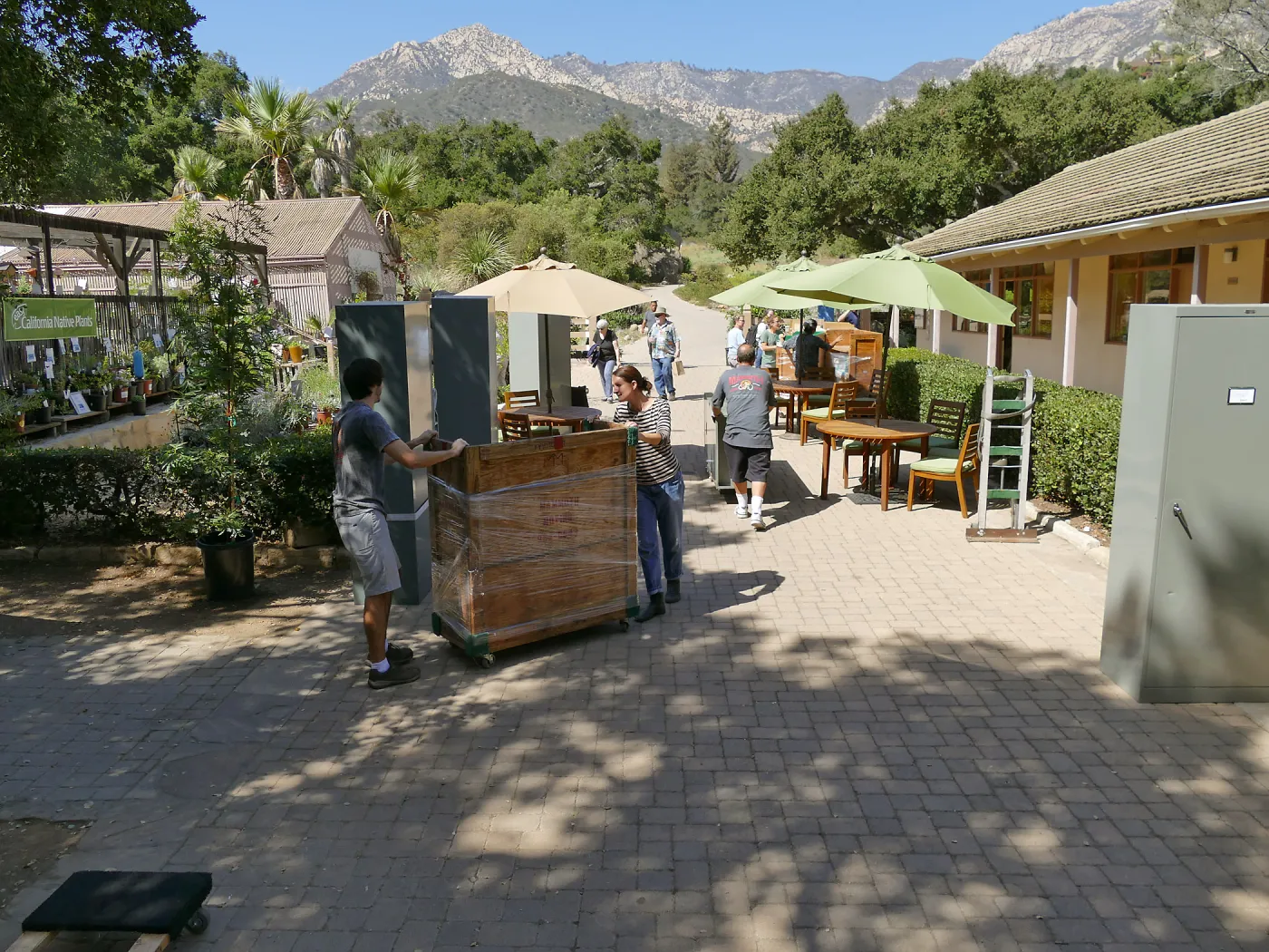 2016 Herbarium Collection Move