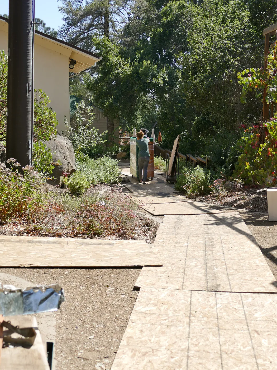 2016 Herbarium Collection Move