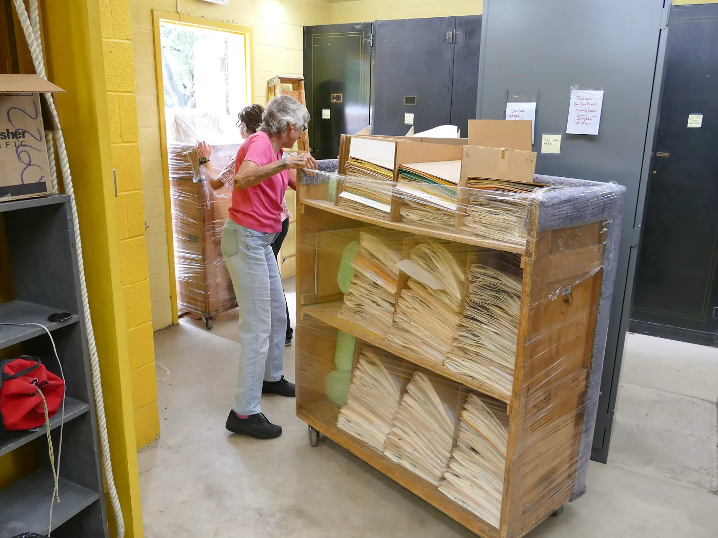 2016 Herbarium Collection Move