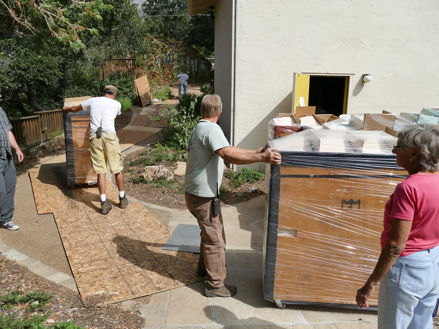 2016 Herbarium Collection Move