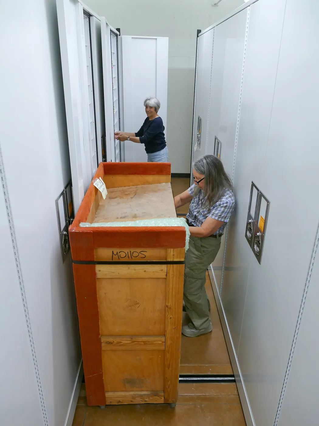 2016 Herbarium Collection Move