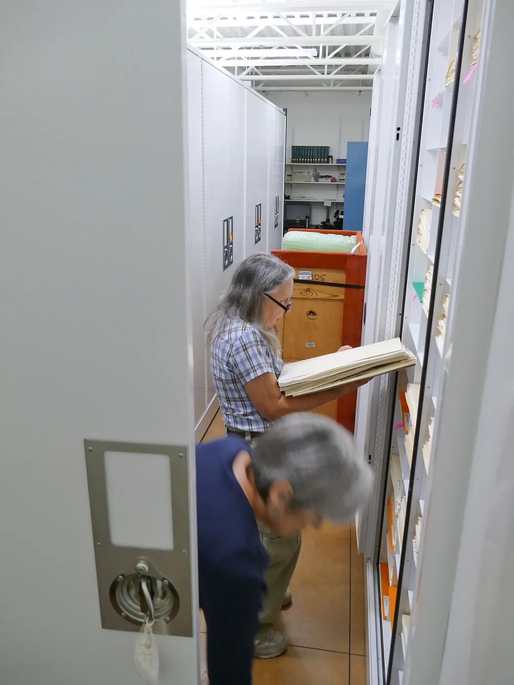 2016 Herbarium Collection Move