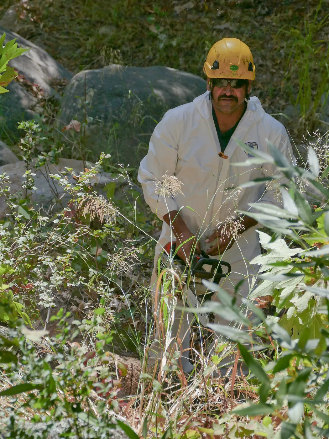 Tree Crew volunteered by Bartlett Tree Experts working in Canyon Section