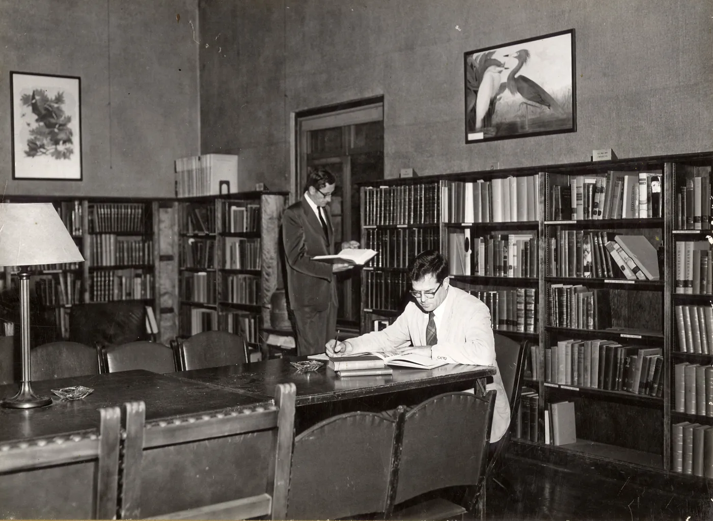 V. L. Vander Hoof in [the Natural History] Museum Library