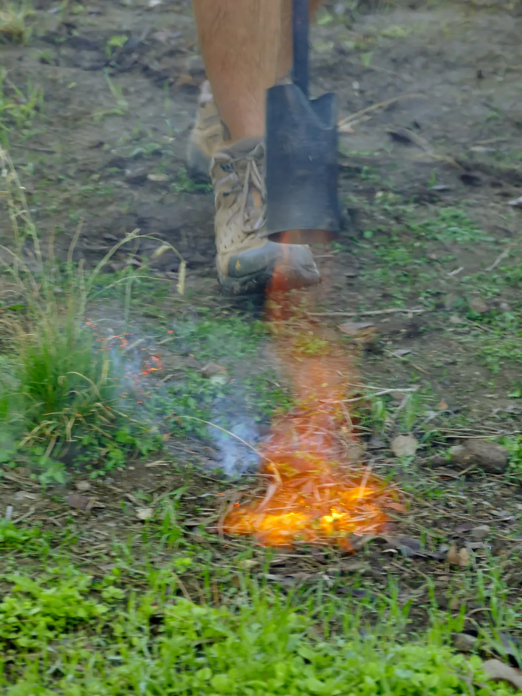 Thermal weed management in the Meadow