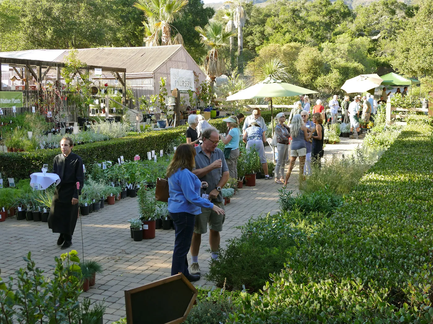 2016 Fall Native Plant Sale Preview Party