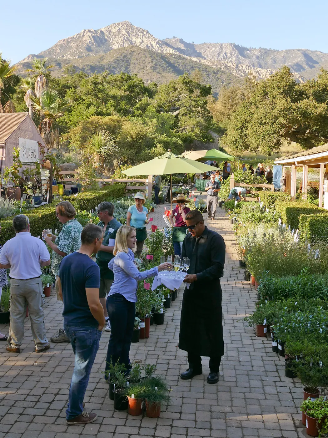 2016 Fall Native Plant Sale Preview Party