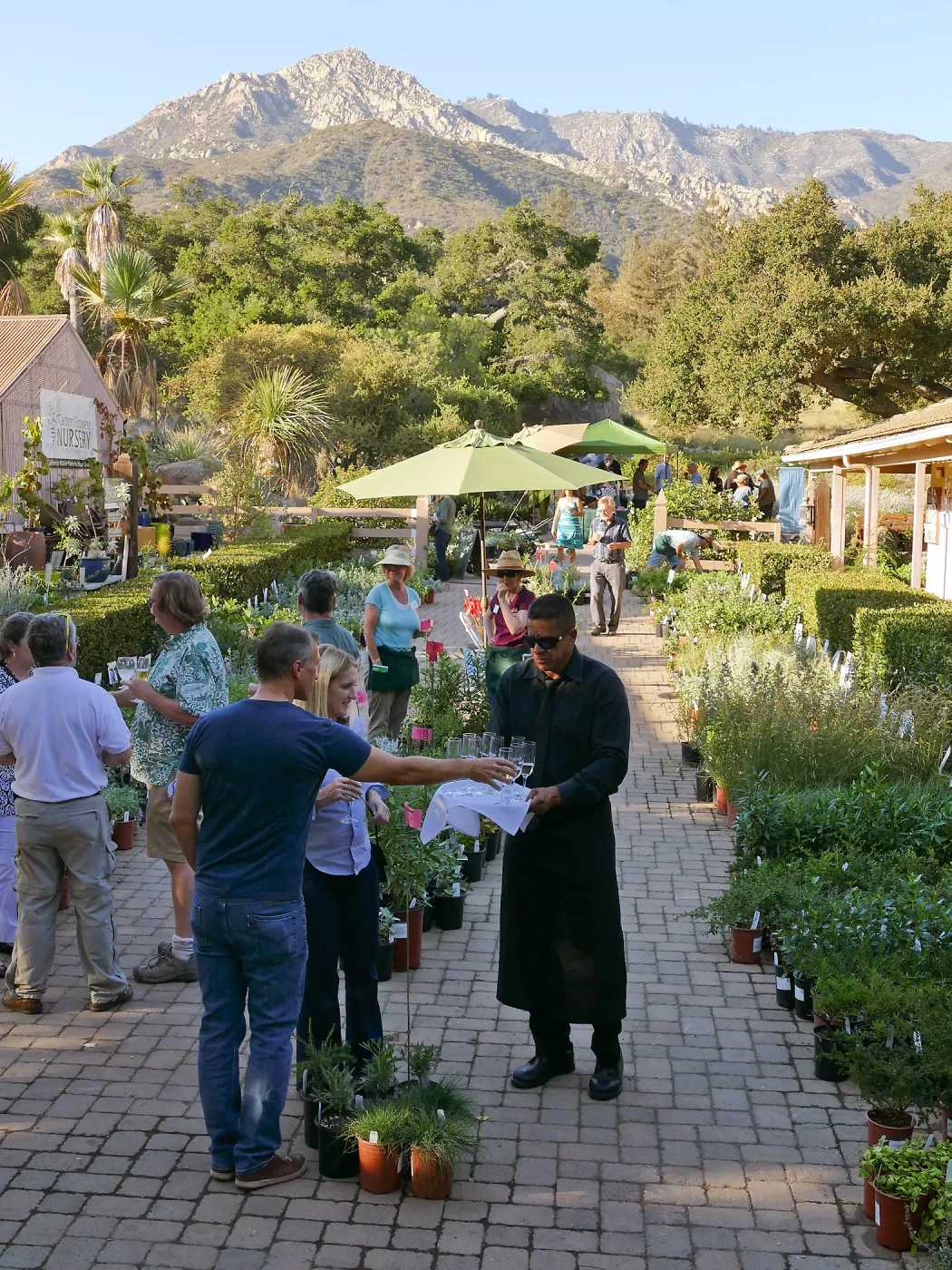 2016 Fall Native Plant Sale Preview Party