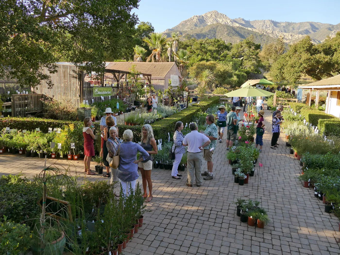 2016 Fall Native Plant Sale Preview Party