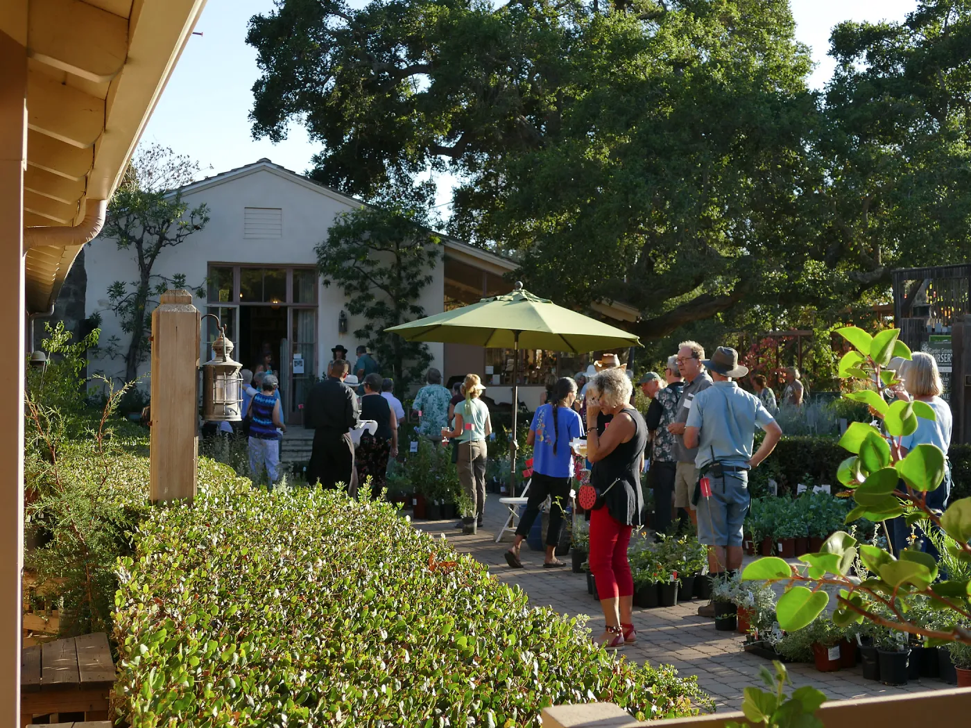 2016 Fall Native Plant Sale Preview Party