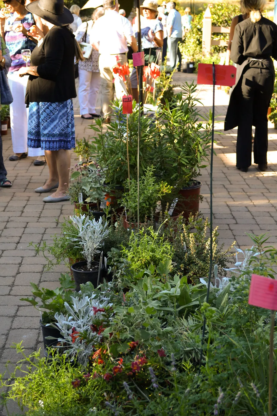 2016 Fall Native Plant Sale Preview Party