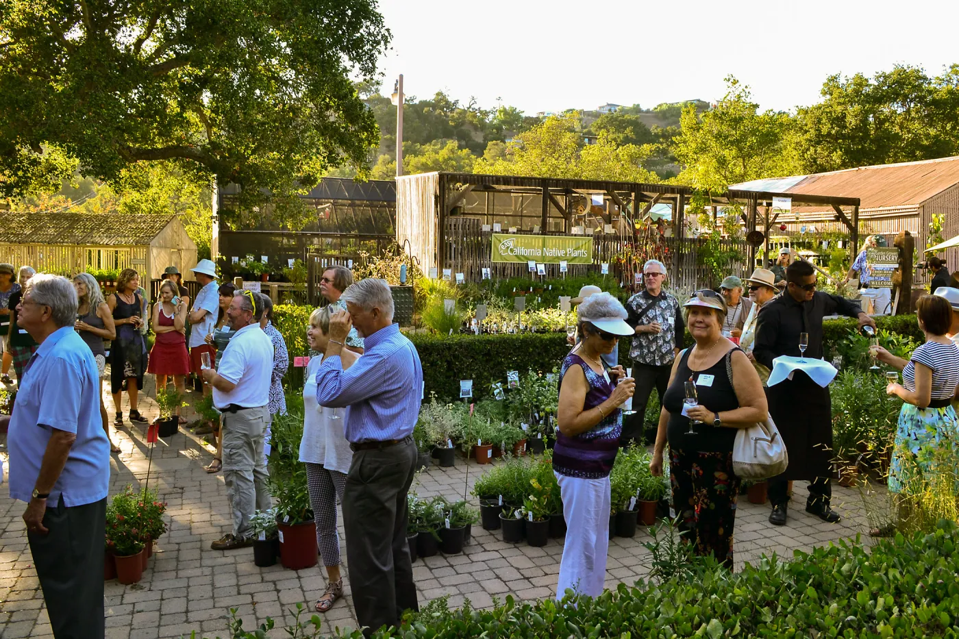 2016 Fall Native Plant Sale Preview Party